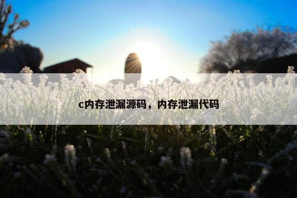 c内存泄漏源码，内存泄漏代码