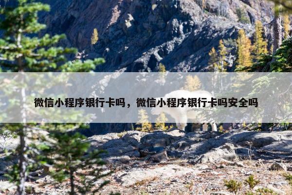 微信小程序银行卡吗，微信小程序银行卡吗安全吗
