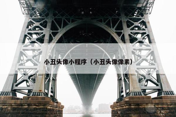小丑头像小程序（小丑头像像素）