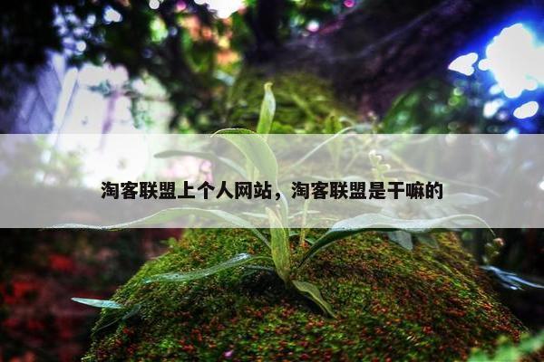 淘客联盟上个人网站，淘客联盟是干嘛的