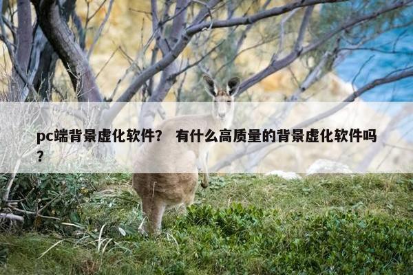 pc端背景虚化软件？ 有什么高质量的背景虚化软件吗？