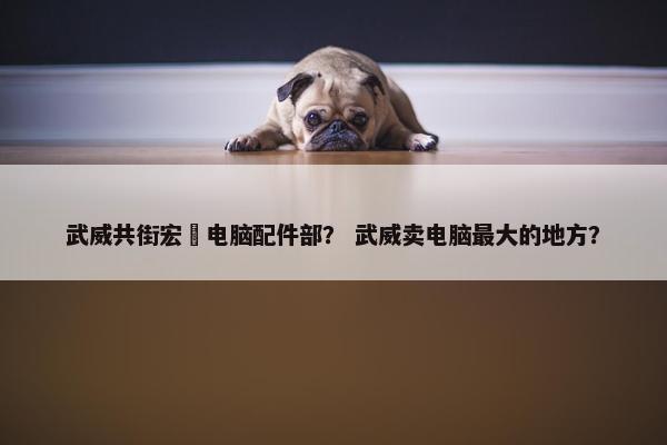 武威共街宏碁电脑配件部？ 武威卖电脑最大的地方？