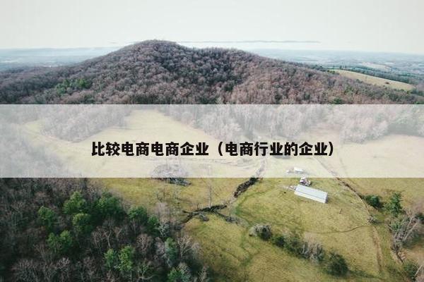 比较电商电商企业（电商行业的企业）