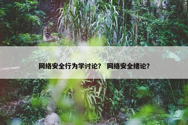 网络安全行为学讨论？ 网络安全绪论？