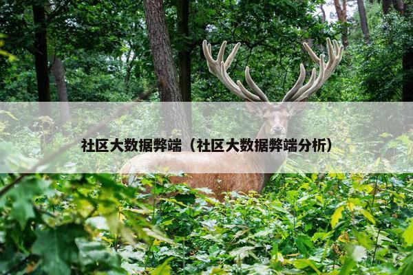 社区大数据弊端（社区大数据弊端分析）