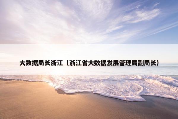 大数据局长浙江（浙江省大数据发展管理局副局长）