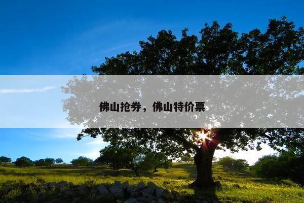佛山抢券，佛山特价票