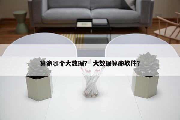 算命哪个大数据？ 大数据算命软件？