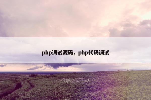 php调试源码，php代码调试