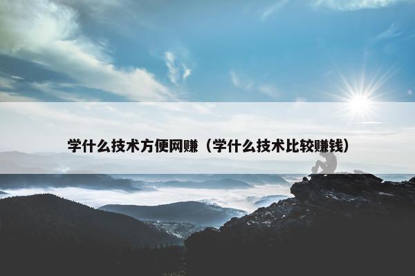 学什么技术方便网赚（学什么技术比较赚钱）