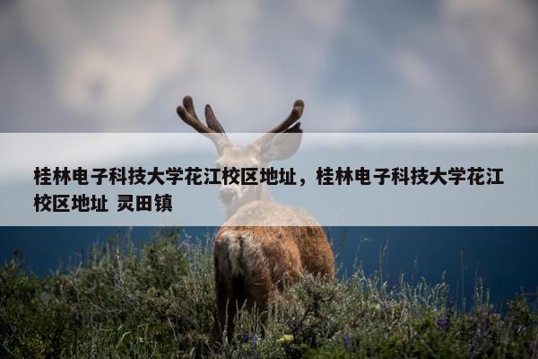 桂林电子科技大学花江校区地址，桂林电子科技大学花江校区地址 灵田镇