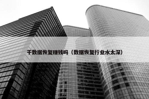 干数据恢复赚钱吗（数据恢复行业水太深）