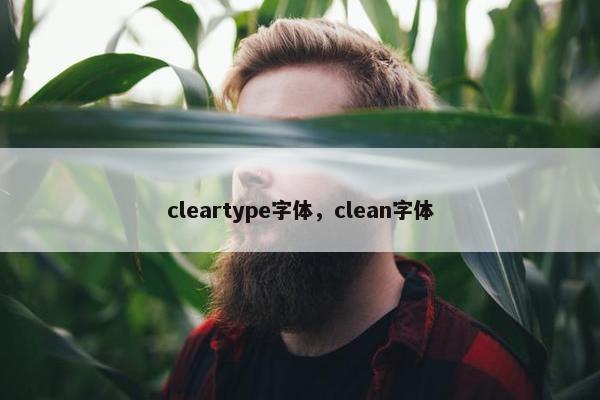cleartype字体，clean字体