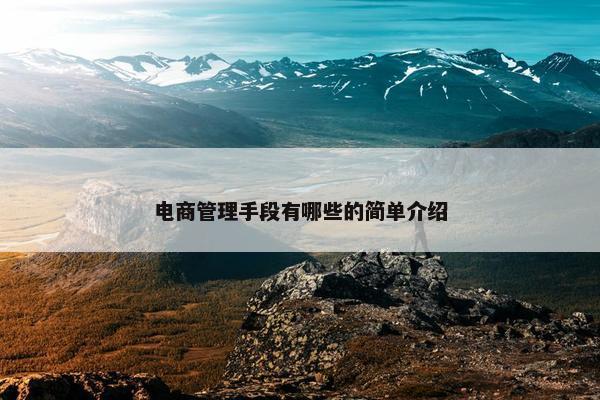 电商管理手段有哪些的简单介绍