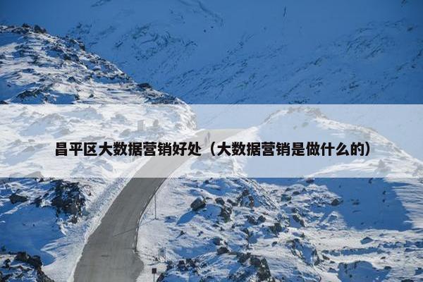 昌平区大数据营销好处（大数据营销是做什么的）