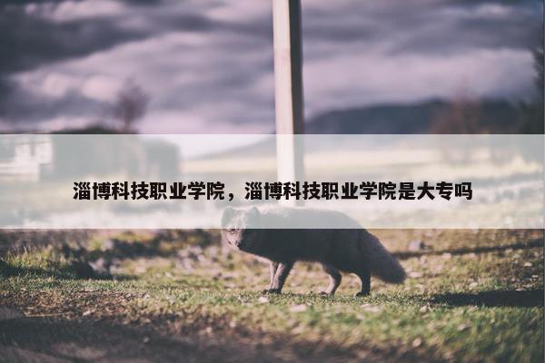 淄博科技职业学院，淄博科技职业学院是大专吗