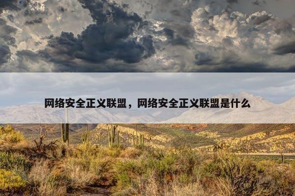 网络安全正义联盟，网络安全正义联盟是什么