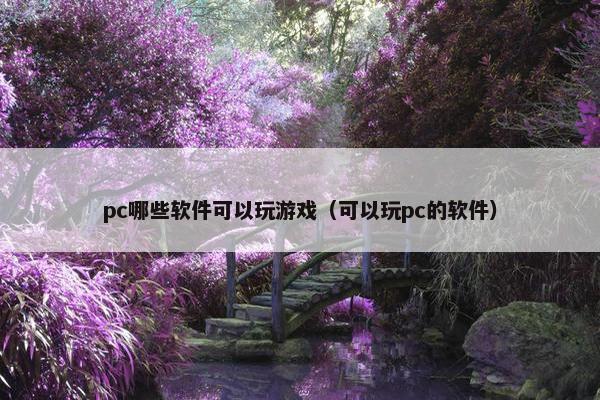 pc哪些软件可以玩游戏（可以玩pc的软件）