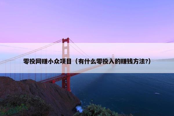 零投网赚小众项目（有什么零投入的赚钱方法?）