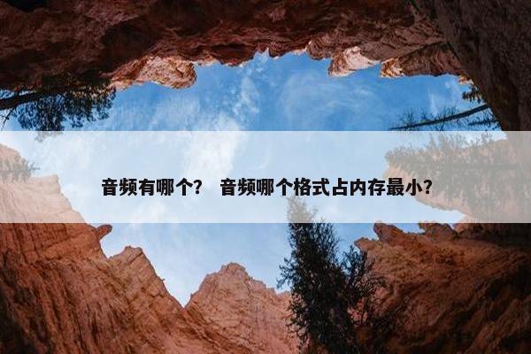 音频有哪个？ 音频哪个格式占内存最小？