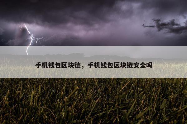 手机钱包区块链，手机钱包区块链安全吗
