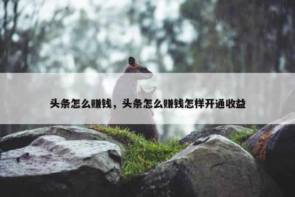 头条怎么赚钱，头条怎么赚钱怎样开通收益