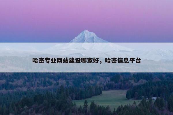 哈密专业网站建设哪家好，哈密信息平台