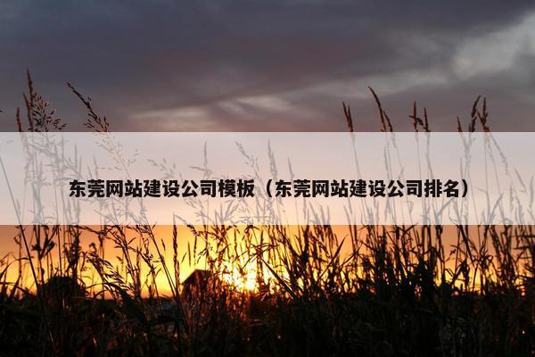 东莞网站建设公司模板（东莞网站建设公司排名）