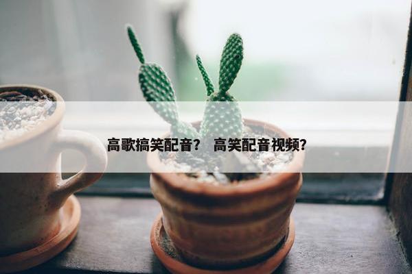高歌搞笑配音？ 高笑配音视频？