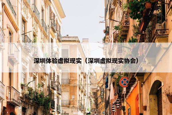 深圳体验虚拟现实（深圳虚拟现实协会）