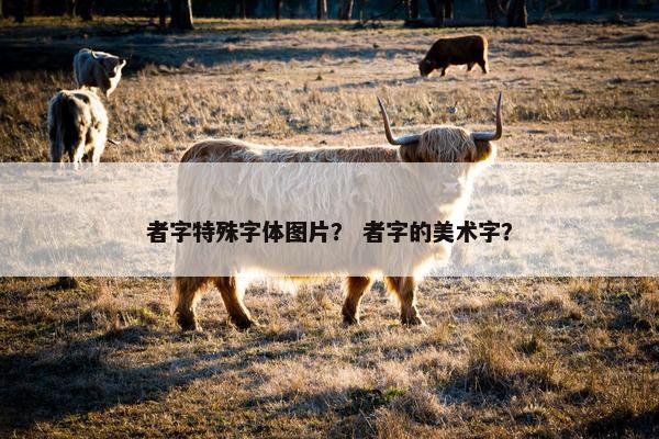 者字特殊字体图片？ 者字的美术字？