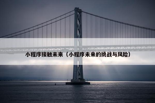 小程序接触未来（小程序未来的挑战与风险）