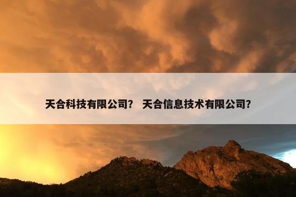 天合科技有限公司？ 天合信息技术有限公司？