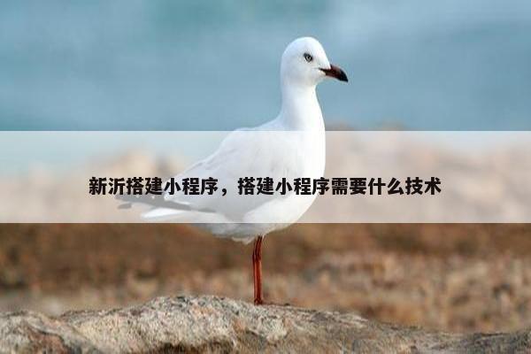 新沂搭建小程序，搭建小程序需要什么技术