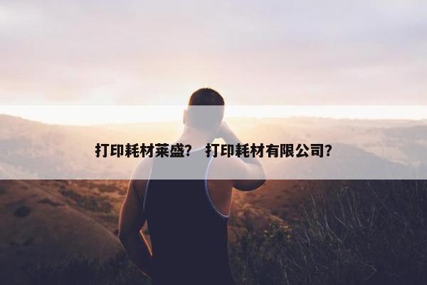 打印耗材莱盛？ 打印耗材有限公司？