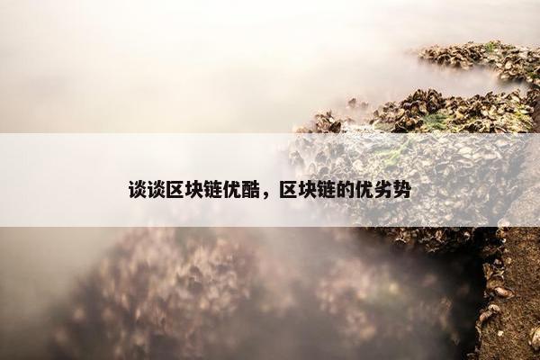 谈谈区块链优酷，区块链的优劣势