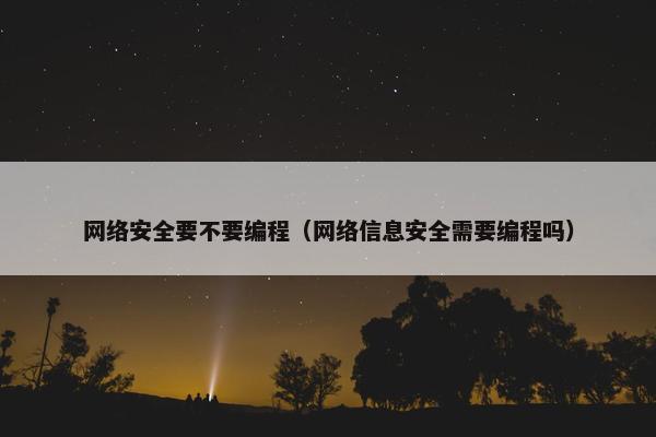 网络安全要不要编程（网络信息安全需要编程吗）