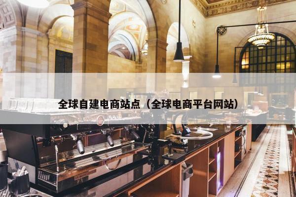 全球自建电商站点（全球电商平台网站）