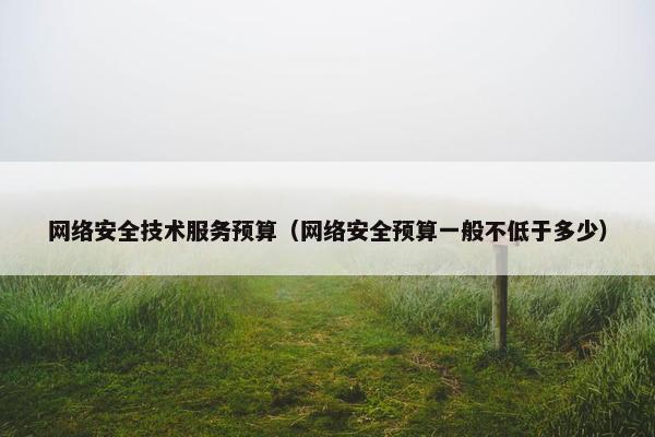 网络安全技术服务预算（网络安全预算一般不低于多少）