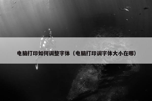 电脑打印如何调整字体（电脑打印调字体大小在哪）