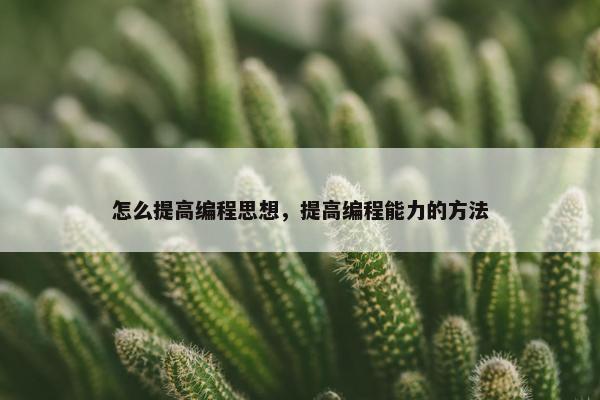 怎么提高编程思想，提高编程能力的方法