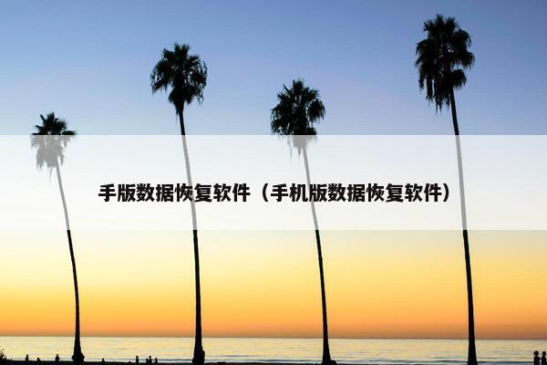 手版数据恢复软件（手机版数据恢复软件）