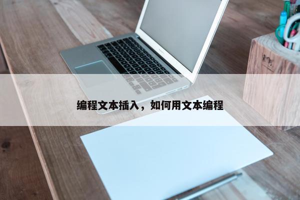 编程文本插入，如何用文本编程