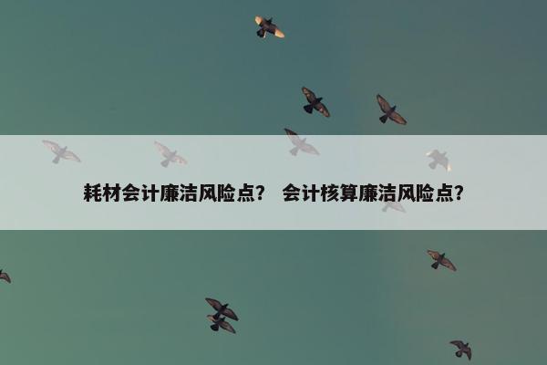 耗材会计廉洁风险点？ 会计核算廉洁风险点？