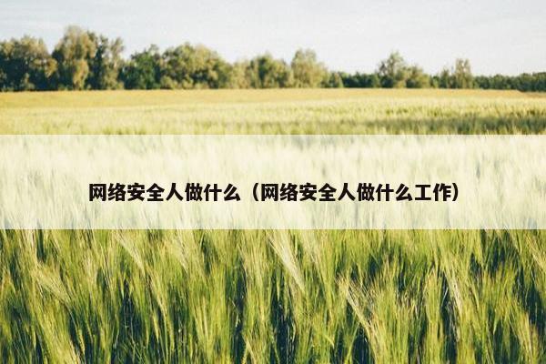 网络安全人做什么（网络安全人做什么工作）