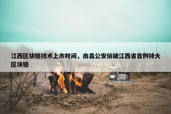 江西区块链技术上市时间，南昌公安侦破江西省首例特大区块链