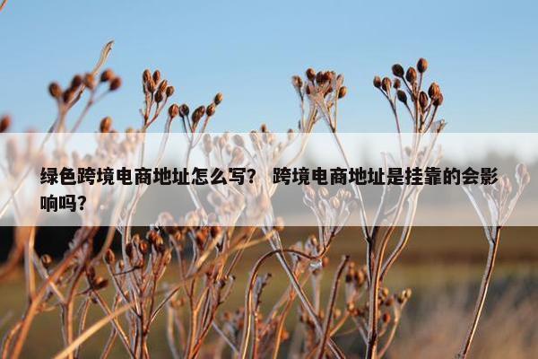 绿色跨境电商地址怎么写？ 跨境电商地址是挂靠的会影响吗？