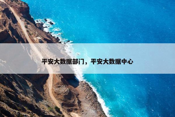 平安大数据部门，平安大数据中心