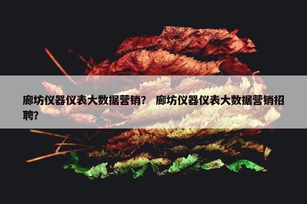 廊坊仪器仪表大数据营销？ 廊坊仪器仪表大数据营销招聘？