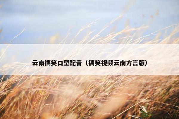 云南搞笑口型配音（搞笑视频云南方言版）